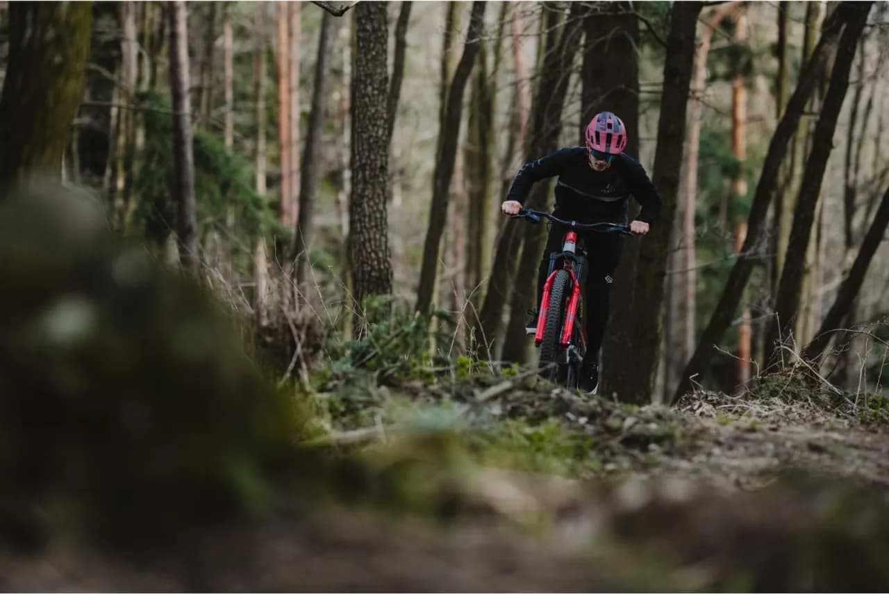 Najlepsze trasy rowerowe w Roztoczańskim Parku Narodowym – odkryj przygodę