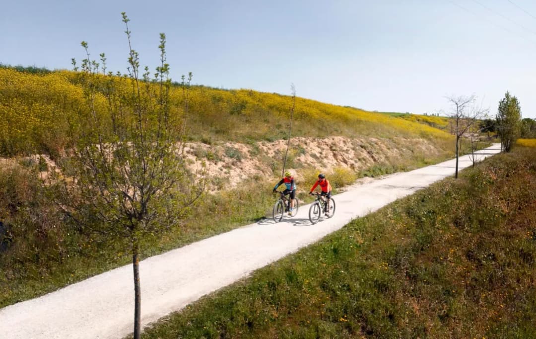 Ciekawe trasy rowerowe w Polsce, które musisz zobaczyć i przeżyć