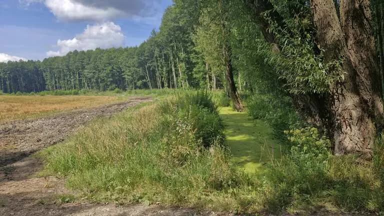 Najlepsze trasy rowerowe w Iławie – odkryj ukryte skarby regionu